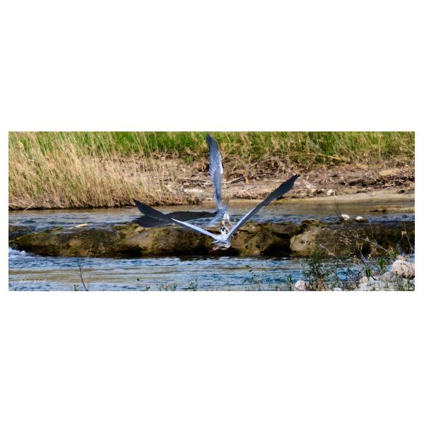 PHOTO84, CLUB, 84 , LUBERON